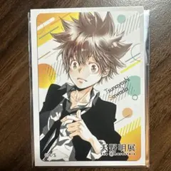 天野明展 REBORN リボーン マグネットステッカー 雲雀 ディーノ ツナ