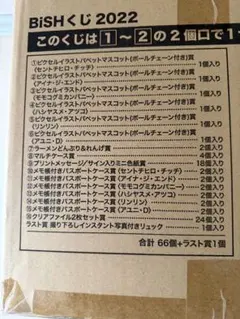2026年最新】bish くじの人気アイテム - メルカリ