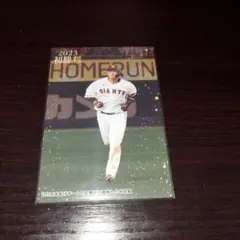 2023カルビープロ野球チップスカード 中田翔カードFW-10