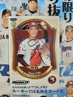 Item thumbnail for item 93351cd1-44f7-4e22-a0a8-cb467c630692