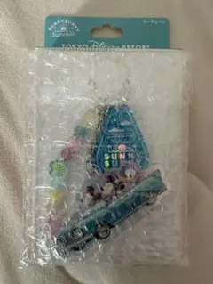 ディズニー サニーサニーサマー キーチェーン シークレット