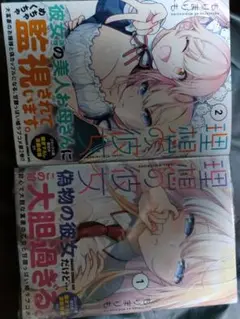 理想の彼女　1,2巻