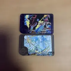 レックウザ・アローラキュウコン ポケモンフレンダ