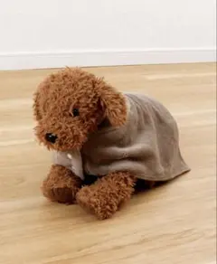 Item thumbnail for item e54119de-0dca-4f04-a90d-798b83885f52