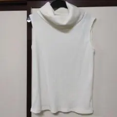 Item thumbnail for item 4b3c7595-4cdf-4e28-9a01-55d75d33d012