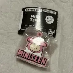 miniteen ミニティーン seventeen ジョンハン トラム