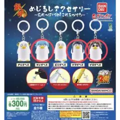 銀魂 めじるしアクセサリー ～忘れっぽい奴はこれをつけろ～