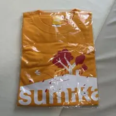 Item thumbnail for item 19ed9301-2378-47ba-9796-edd3b6835132