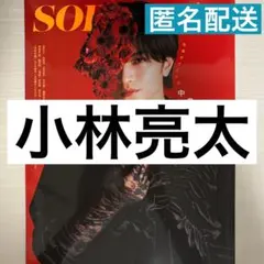 Item thumbnail for item e4f4ab54-487f-46fa-b826-cfbb18b5dae9