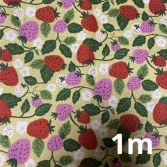 Item thumbnail for item 1795729a-35cd-479c-beb1-4cdb74032f52