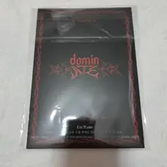 Stray Kids　dormin ATE ポストカードブック　リノ