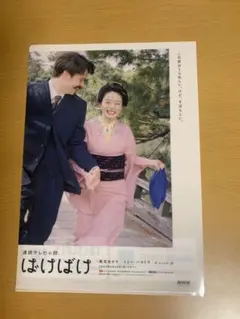 朝ドラ ばけばけ クリアファイル A4サイズ