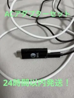 Nintendo Switch 持ち運びドッグ　ACアダプター付き