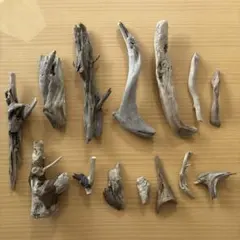 Item thumbnail for item 60a09445-e6f7-4d9b-9fea-aa3e7e9dad43