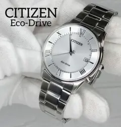 【CITIZEN COLLECTION AS1060-54A】 メンズ腕時計