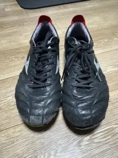 ミズノモレリアネオ4黒　27センチ