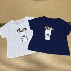 Item thumbnail for item fb9df66b-2d65-4a74-8479-25469208c28e