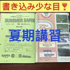サピックス6年社会 志望校別特訓SSウィークリー2025用 開成・聖光対策