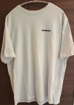 patagonia パタゴニア　レスポンシビリティー Tシャツ M ホワイト
