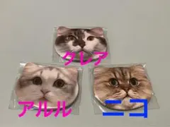 猫カフェ mocha 三宮店 缶バッジ まとめ売り バラ可