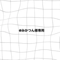 猫爪　ネイルチップ　専用ページ