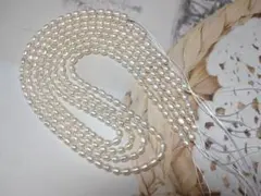 A-44 淡水パール　4連