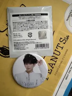 ＆TEAM HARUA カフェ 缶バッジ ハルア