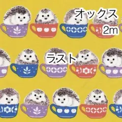 ラスト 2m ハリネズミ イエロー オックス