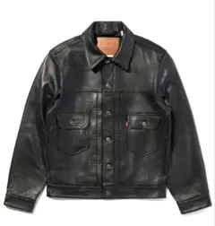 2025年最新】Levi's メンズ レザージャケット・ライダースの人気