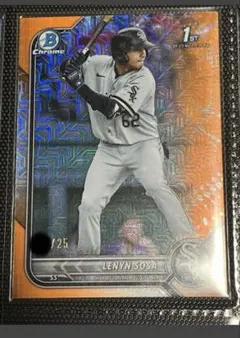 Item thumbnail for item ad095e55-4da4-4cd1-8b82-d8d04446bd3c