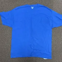 champion 青　Tシャツ