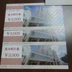 トーセイ株主優待　宿泊割引券3,000円✖3枚　9000円分のサムネイル