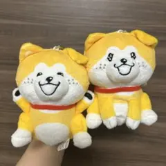 秋田犬たれみみだいちゃん　ボールチェーン付きぬいぐるみ　2個セット