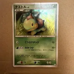 2026年最新】ナエトル lv9の人気アイテム - メルカリ