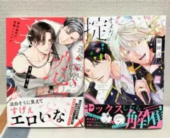BLコミック 商業bl 運命論者の恋愛マニュアル イクヤス オメガの掟 藤峰式