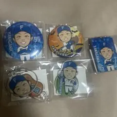 柳川大晟投手 ファイターズガチャ セット
