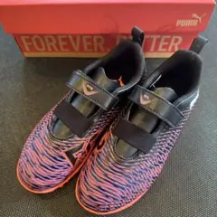 Item thumbnail for item f91b3baf-2f78-499e-922e-ddf7da3e13c0