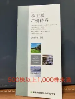 【最新版】東急不動産ホールディングス株主優待券【500～1000株未満】