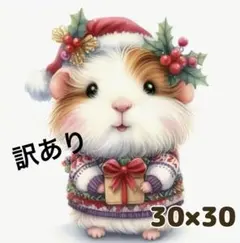 むぎなこ様 リクエスト 2点 まとめ商品