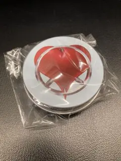 COMPLEX 日本一心 2024 メモリアルギターピックセット 新品未開封