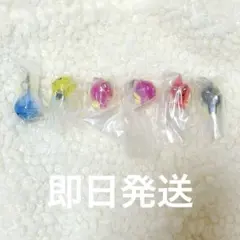 しずくちゃん めじるしアクセサリー2 コンプリート+ロゼちゃん