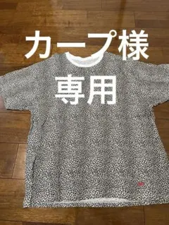 Item thumbnail for item 80d0403c-af89-49b6-8b96-e5112dfc84fc