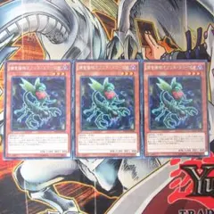 捕食植物オフリススコーピオ　レア　３枚セット