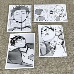 ハイキュー 10th クロニクル 思い出スナップフォトカード 白鳥沢 セット