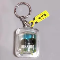 北海道 マリモ キーホルダー HOKKAIDO 昭和レトロ おみやげのサムネイル