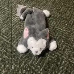 ディズニーストアフィガロペンケース