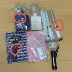 EBiDAN ペンライトまとめ売り - メルカリ