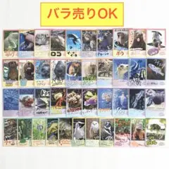 2026年最新】鳥羽水族館コレクションカードの人気アイテム - メルカリ