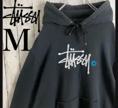 【希少デザイン】ステューシー 刺繍ロゴ フード刺繍 即完売モデル パーカー 人気