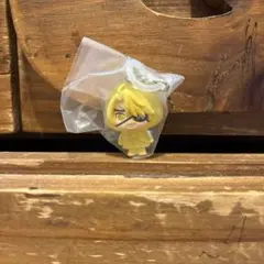 からぴち　めじるしアクセサリー　たっつんさん